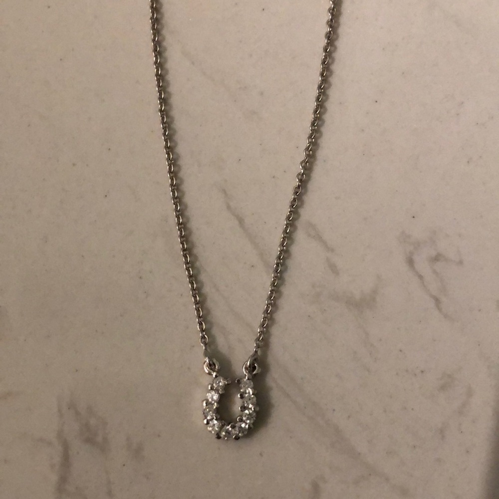 Horseshoe necklace